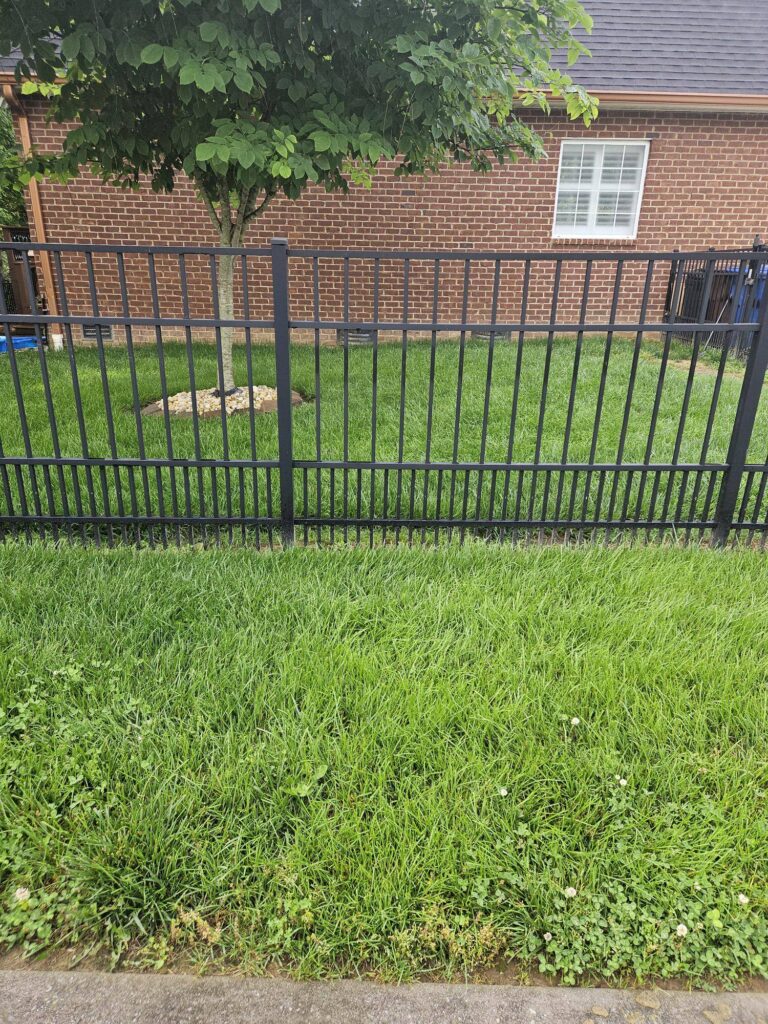 A black metal fence surrounding a grassy yard in front of a brick building. The grass is lush and green, with some rocks or mulch visible beneath the fence.