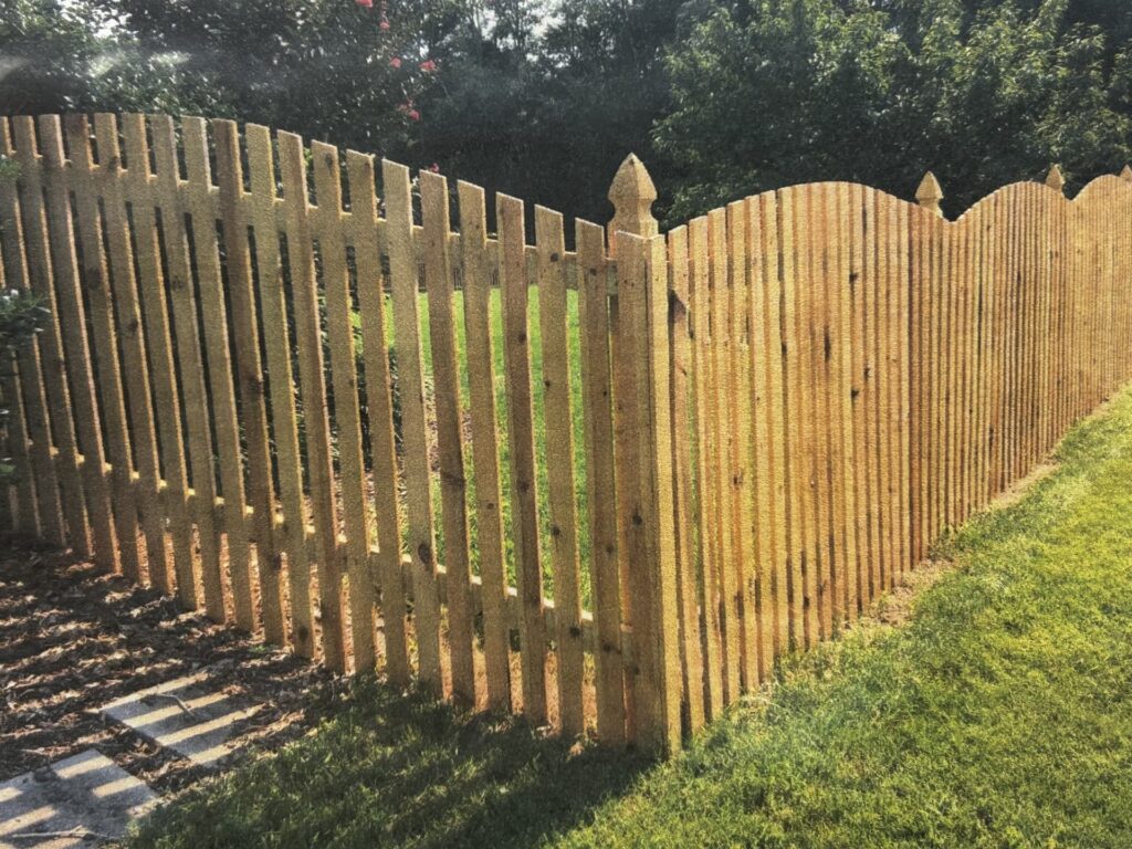 A wooden fence with pointed pickets runs along a grassy yard with shrubs and trees in the background.