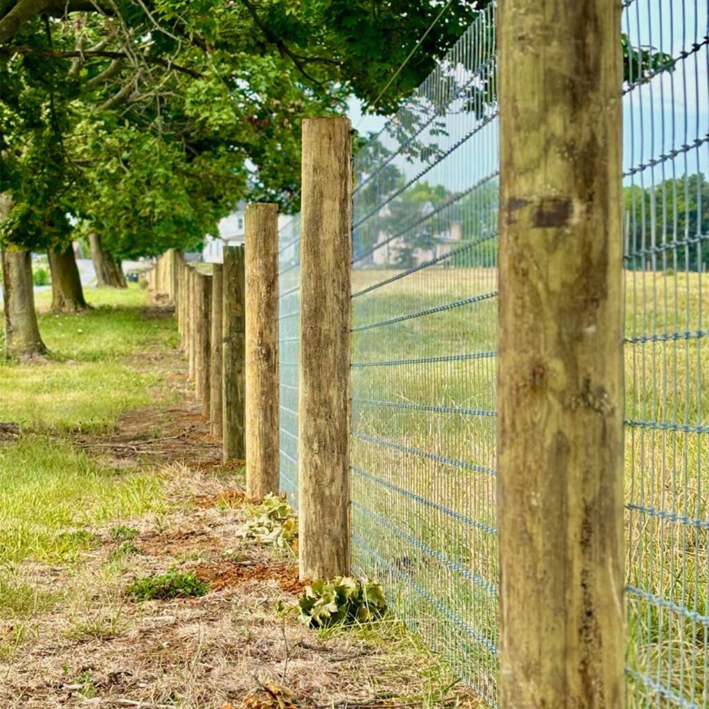 A wooden fence made of vertical wooden posts and horizontal wires running along the edge of a grassy area with trees in the background.